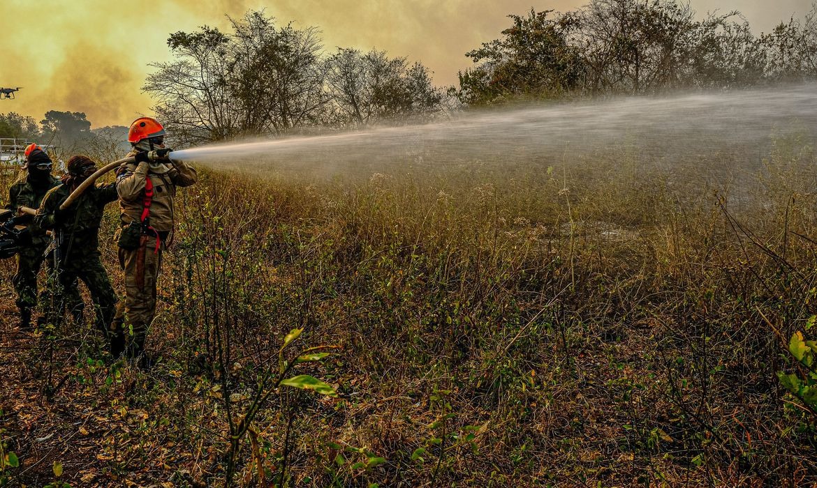 Governo Federal manda 71 soldados para reforçar combate a fogo no Pantanal Mayke Toscano/Secom-MT