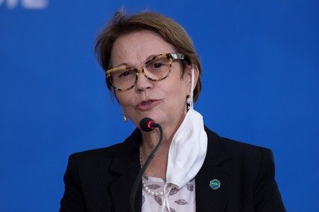 Ministra diz que se houvesse mais gado no Pantanal as queimadas seriam menores Foto: R7