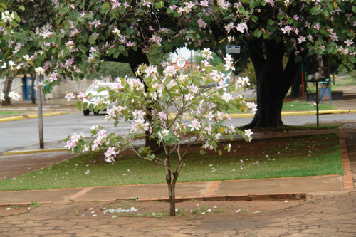Foto: Moreira Produções.