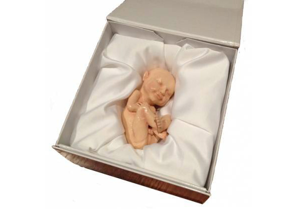 Ao comprar o bebê, ele é entregue em uma caixa de madeira forrada de cetim que para alguns olhares mais atentos pode se assemelhar um pouco a um caixão