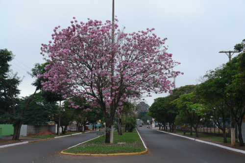 Foto: Moreira Produções.