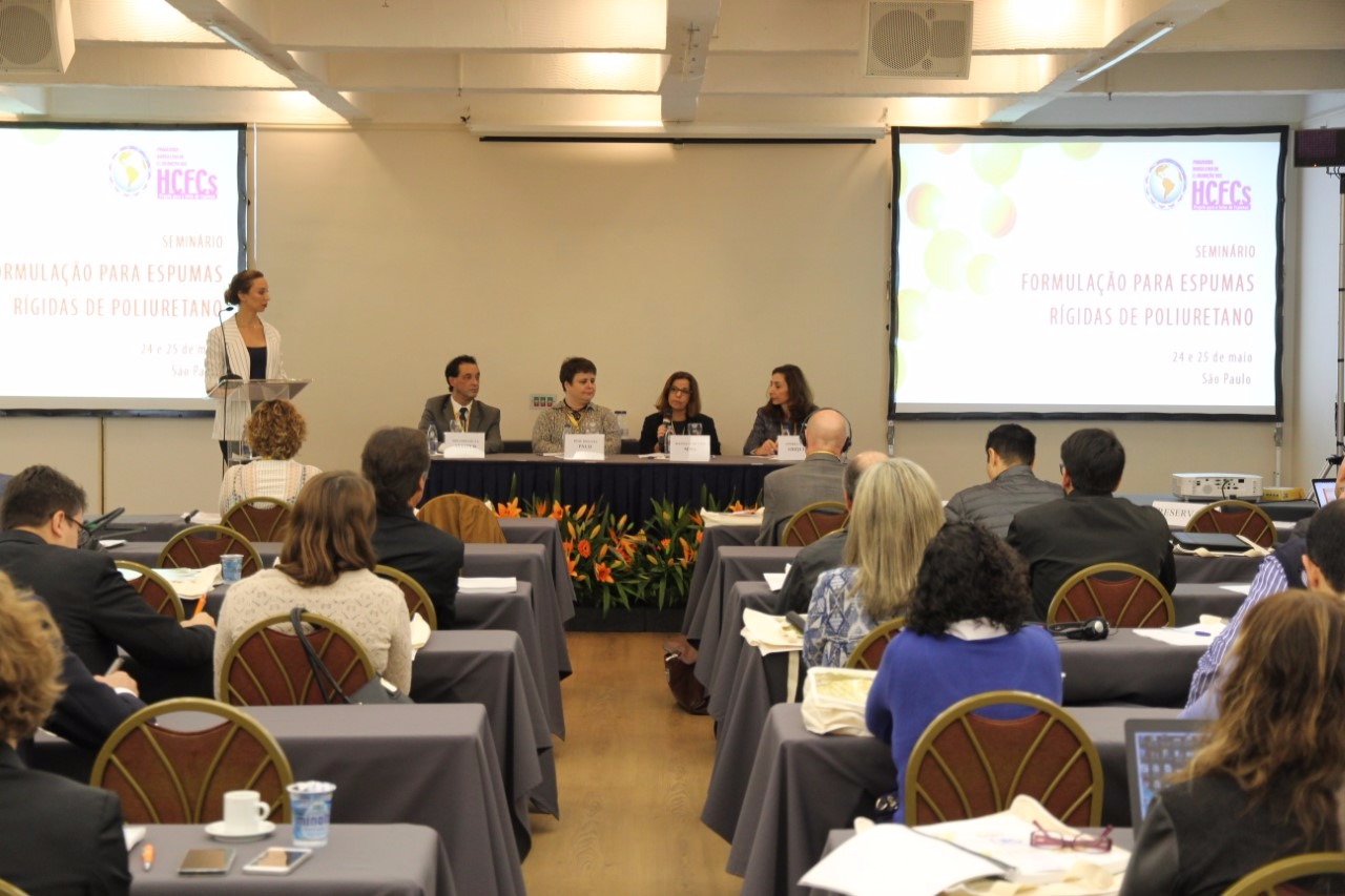 Seminário: eliminação das substâncias / Foto: Divulgação 