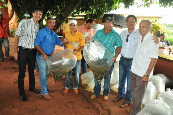 Piscicultores de Amambai recebem alevinos Prefeito Dirceu Lanzarini faz entrega dos alevinos para piscicultores de Amambai.
