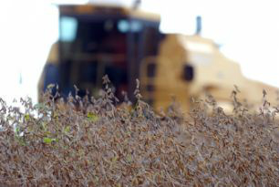 China: Importações de soja em agosto podem chegar a 5,3 milhões de toneladas China: Importações de soja em agosto podem chegar a 5,3 milhões de toneladas