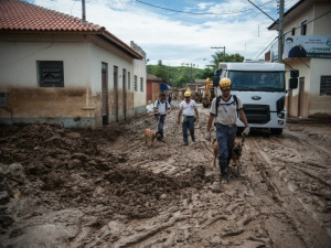 Há ainda 34 moradores desabrigados que, segundo o Fundo Social de Itaoca, foram acomodados nas escolas Elias Lages de Magalhães e Cacilda Lages Pereira Cavani. 