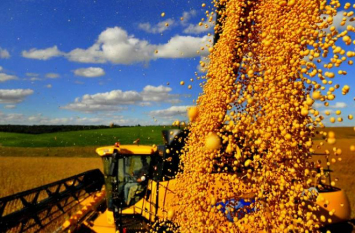 Centro-Oeste produz cerca de 42% da safra brasileira de grãos