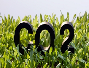 Venda de crédito de carbono é ilegal, diz Funai