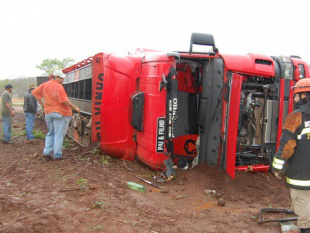 Caminhão boiadeiro tomba na MS-080 e mais de 50 bezerros morrem Caminhão boiadeiro tomba na MS-080 e mais de 50 bezerros morrem