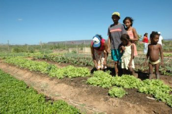 Governo anuncia R$ 18 bilhões de crédito para agricultura familiar
