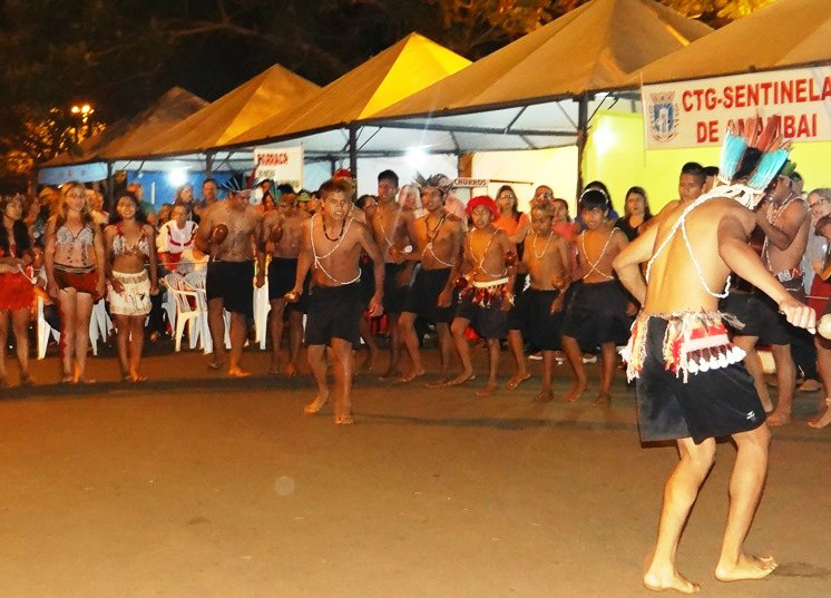 As manifestações das culturas populares, indígenas e afro-brasileiras, e das de outros grupos participantes do processo civilizatório nacional. devem ser garantidas pelo Estado.