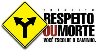 Considerações sobre a violência no trânsito