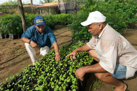 Brasil Sem Miséria: Técnicos de ATER começam trabalho de campo na segunda