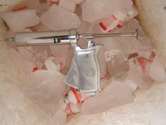 A vacinação, que antes era de 100% do rebanho, e passa a ser de todos os bovinos e bubalinos com até 24 meses de idade