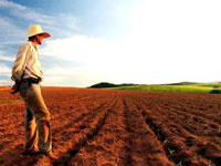 Produtores rurais têm até dia 30 para declarar o ITR