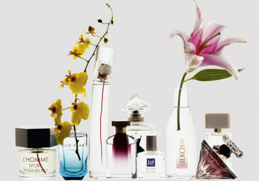 6 coisas que você precisa saber sobre perfumes