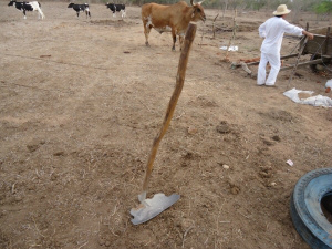 Ferreiro da Paraíba usa material reciclado para criar ferramenta inovadora