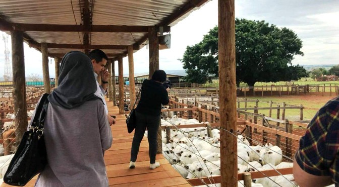MS representa o Brasil na Indonésia para conhecer defesa sanitária animal