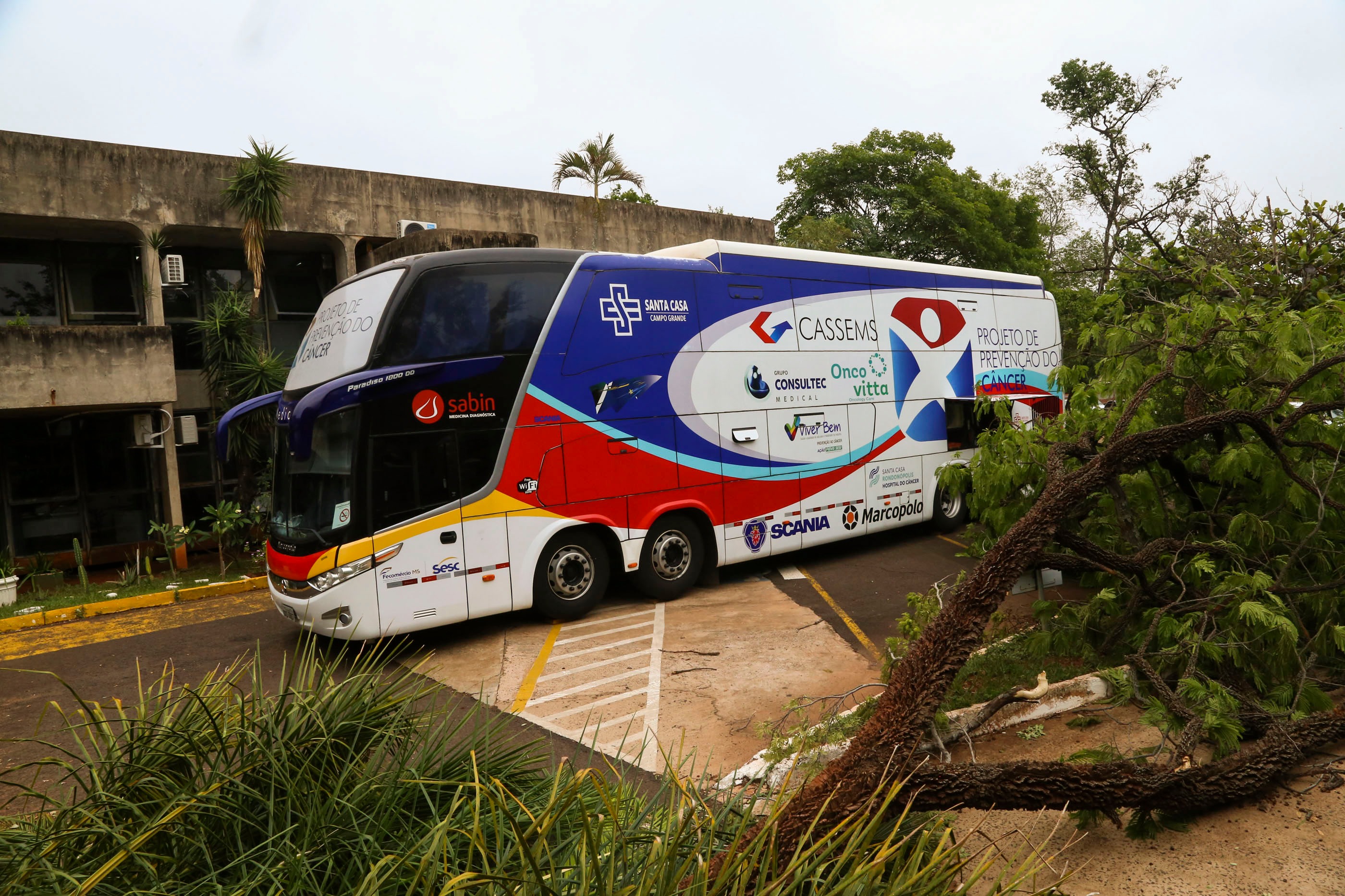 Foto: Messias Ferreira
