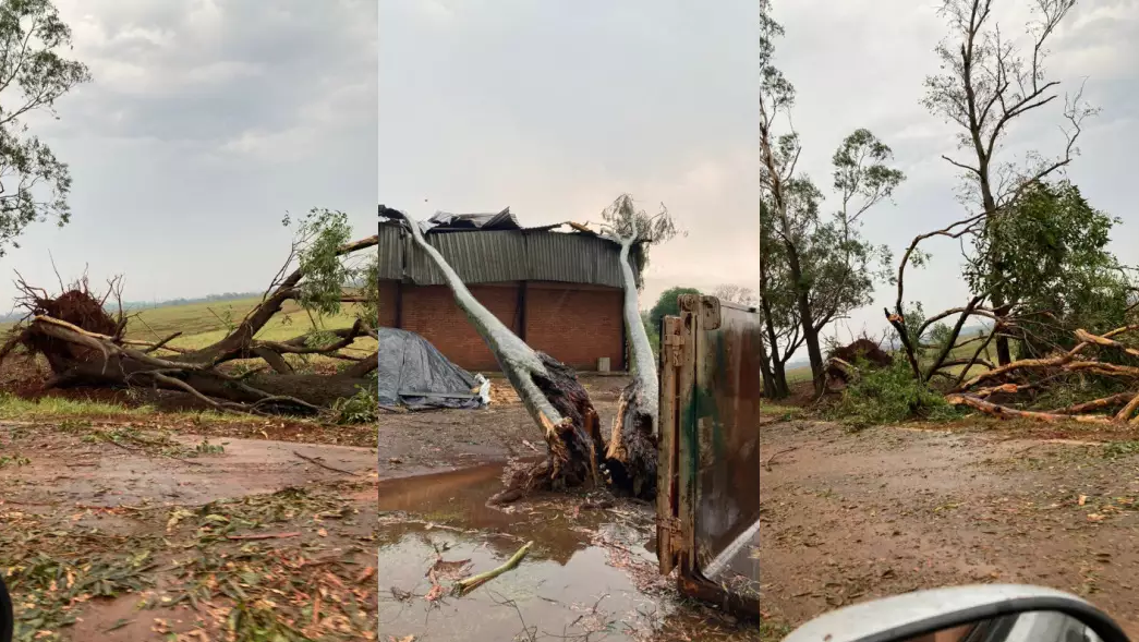 Tempestade derrubou árvores e causou vários danos na área, que fica na MS-156