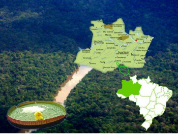 Venda de terras a estrangeiros tem prejudicado mais pobres, mostra ONG