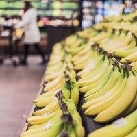Plataforma derruba mitos sobre alimentos processados e orgânicos Plataforma derruba mitos sobre alimentos processados e orgânicos