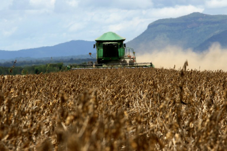 Agricultura brasileira poderá ser compensada por cuidados ambientais O País adota práticas preservacionistas no cultivo de soja e trigoFoto: Divulgação