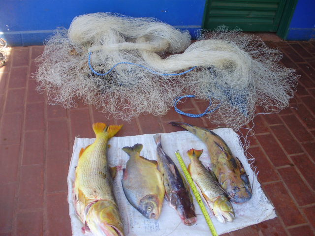 PMA apreende pescado e tarrafas no rio Coxim