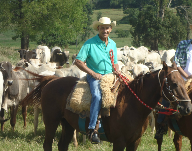 Proprietário da Chácara Campinas - Sertãozinho.  
