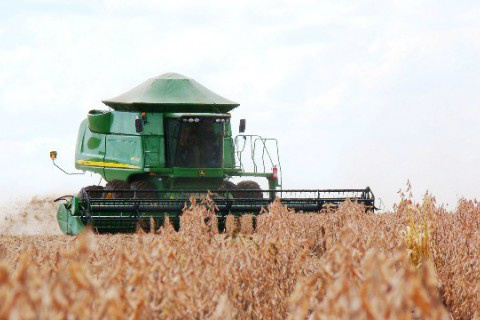 Safras eleva projeção de colheita de soja no Brasil a 86,92 mi t Foto: Aprosoja/MS
