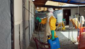 Ebola: Alemanha recebe hoje funcionário da OMS infectado
