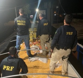 Trafico perde 300 toneladas de maconha em 10 meses; prejuízo de R$ 300 milhões Apreensão de 28 toneladas de maconha em carga de milho, em maio deste ano. (Foto: PRF)