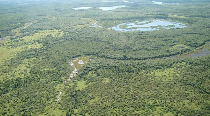 MS já tem 31 milhões de hectares inscritos no Cadastro Ambiental Rural
