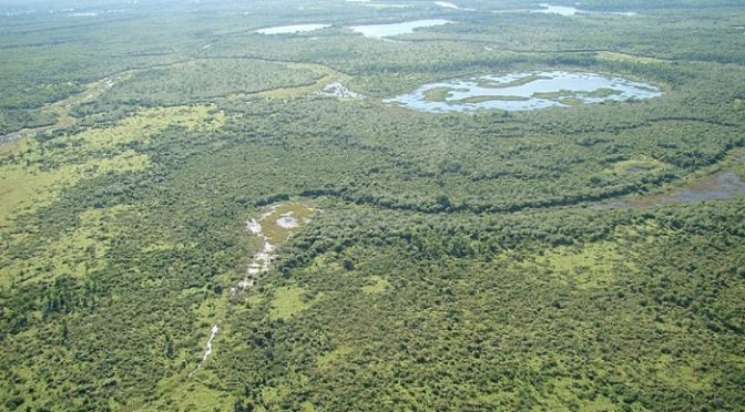 MS já tem 31 milhões de hectares inscritos no Cadastro Ambiental Rural MS já tem 31 milhões de hectares inscritos no Cadastro Ambiental Rural