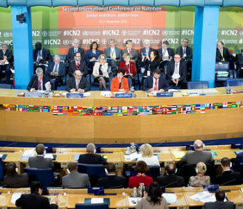 OMS e FAO pressionam governos a implementar padrões para alimentação ideal