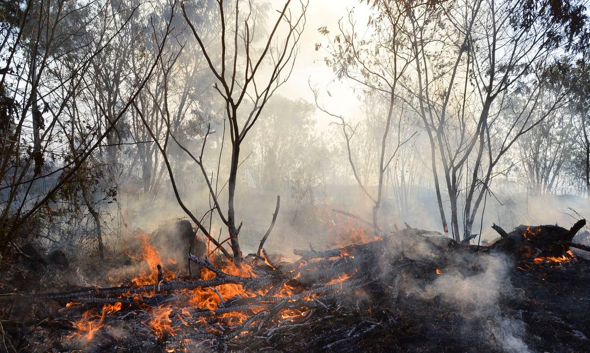 Câmara aprova regras para uso controlado do fogo em práticas agrícolas Foto: Agência Brasil