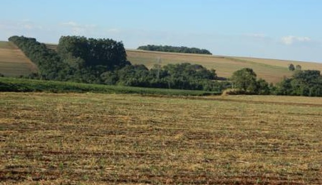 Intensificação sustentável na agricultura é tema de projetos de pesquisa Intensificação sustentável na agricultura é tema de projetos de pesquisa