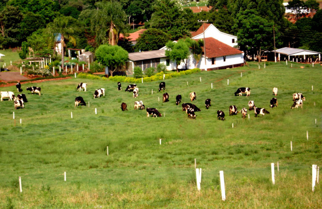 Propriedades rurais de Amambai precisam ser cadastradas Propriedades rurais de Amambai precisam ser cadastradas