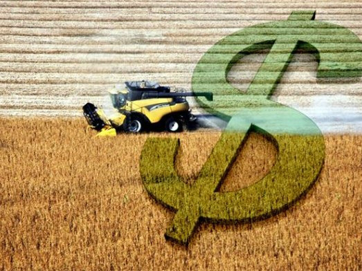 Valor bruto da produção agropecuária deve ser de R$ 519,3 bi neste ano Foto: Divulgação