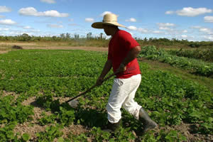 Governo destina 3,2 milhões de hectares para reforma agrária