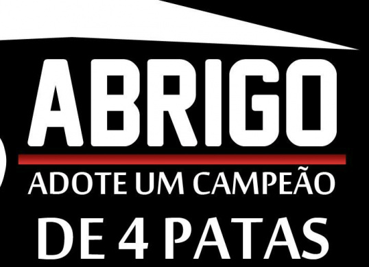 Três amigas e uma missão: resgatar animais abandonados