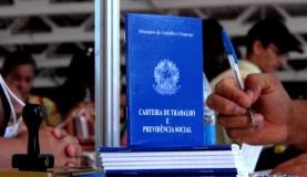 Desemprego cai para 12% no trimestre encerrado em novembro, mostra IBGE Na comparação com o mesmo trimestre do ano passado, quando a taxa foi estimada em 11,9%, o quadro foi de estabilidadeMarcello Casal Jr/Agência Brasil