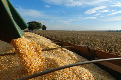 Foto: Assessoria de Imprensa Sistema Famasul