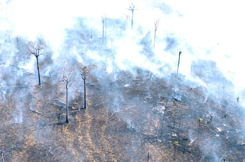 Brigadistas tentam apagar fogo que toma conta do Parque Nacional do Araguaia