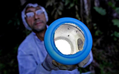 Segundo dados divulgados pela OMS, a doença matou 584 mil pessoas em 2013, crianças abaixo dos cinco anos representam pelo menos três quartos dessas mortes, 