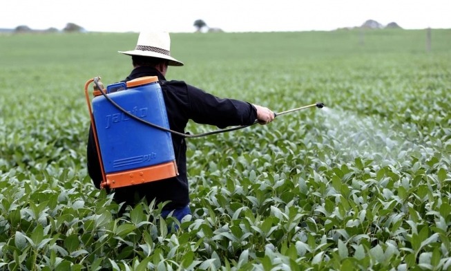 Como Florianópolis se tornou o primeiro município brasileiro livre de agrotóxico Câmara de Florianópolis aprova projeto que bane agrotóxicos / Foto: Divulgação