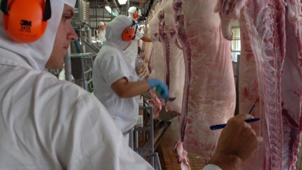 Exportações de carne suína para o Japão deverão iniciar em 60 dias Exportações de carne suína para o Japão deverão iniciar em 60 dias.