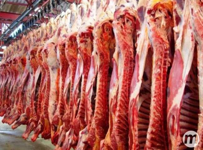 Proibição de carnes às segundas em São Paulo pode impactar setor no MS Foto: Divulgação