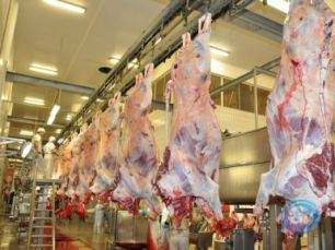 BOI: Boa parte dos frigoríficos não estão negociando e lentidão dita o mercado