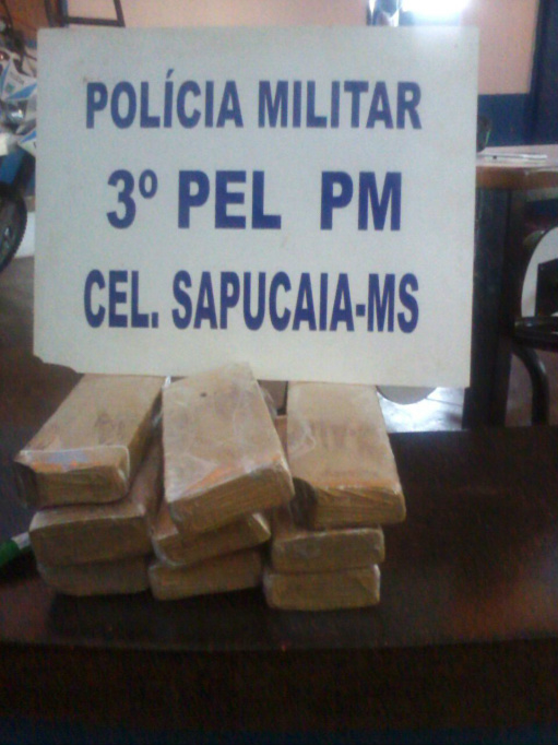 Droga totalizou 10 kg / Foto: Divulgação