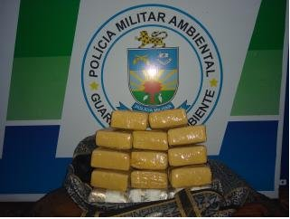 PMA prende caminhoneiro e jovem com 13 kg de maconha